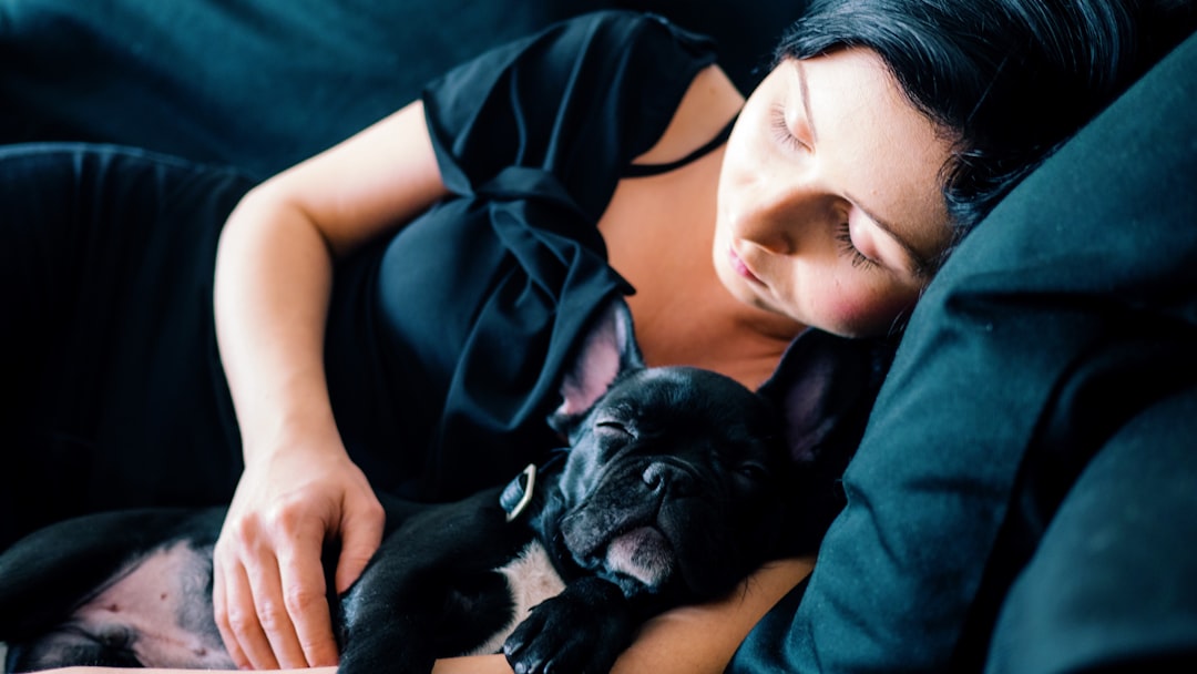 découvrez des remèdes naturels pour améliorer votre sommeil et retrouver des nuits paisibles. explorez des techniques, des plantes et des conseils pratiques pour vous aider à mieux dormir.