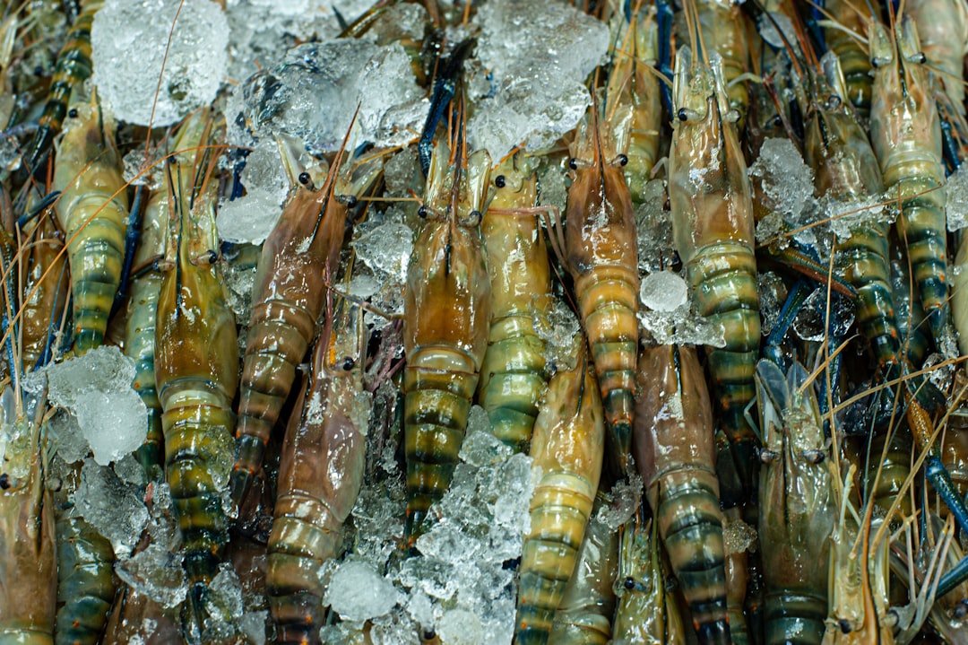 découvrez notre délicieuse recette de crevettes épicées, alliant saveurs exotiques et épices relevées. parfaites en apéritif ou en plat principal, ces crevettes sont faciles à préparer et feront sensation à votre table. idéal pour les amateurs de cuisines épicées!