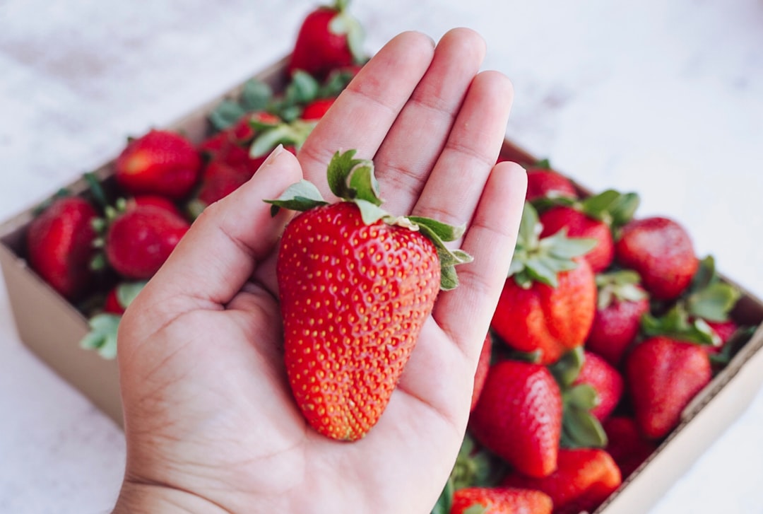 découvrez notre délicieuse tarte aux fraises, un dessert irrésistible qui allie la douceur des fraises fraîches à une pâte croustillante. parfaite pour les amateurs de fruits et les gourmands, cette tarte est idéale pour toutes les occasions. savourez chaque bouchée de ce délice fruité!