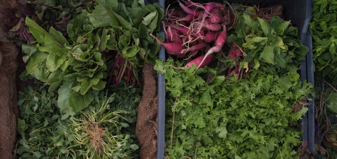 découvrez des recettes savoureuses de légumes farcis, alliant goût et santé. apprenez à préparer des légumes remplis de délices comme du riz, des herbes et des épices. idéal pour les repas végétariens ou pour impressionner vos invités !
