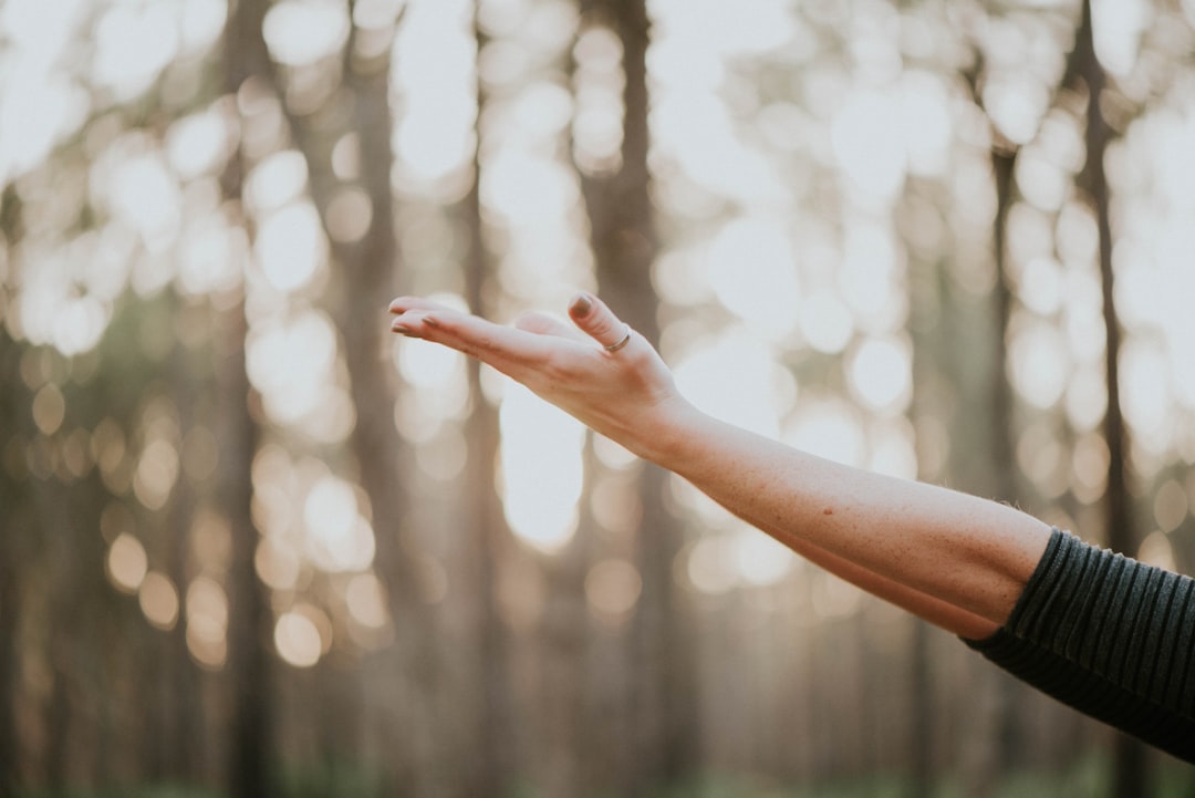 découvrez un monde de bien-être avec nos conseils et techniques pour améliorer votre santé physique et mentale. explorez les pratiques de relaxation, nutrition et mindfulness pour atteindre un équilibre harmonieux dans votre vie.