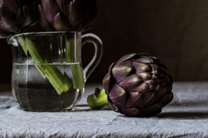 découvrez tout sur les artichauts : leurs bienfaits pour la santé, des recettes savoureuses, et des astuces pour les préparer facilement. plongez dans l'univers de ce légume emblématique et apprenez à l'intégrer dans votre cuisine.