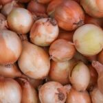 découvrez des recettes savoureuses à base d'oignons, idéales pour rehausser vos plats ! que ce soit en soupe, en tarte ou en accompagnement, explorez notre sélection d'idées délicieuses et faciles à réaliser.