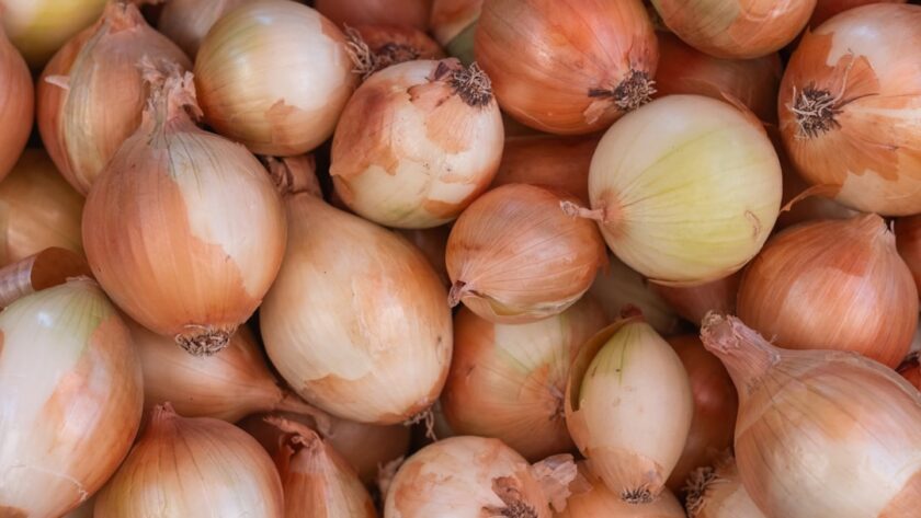 découvrez des recettes savoureuses à base d'oignons, idéales pour rehausser vos plats ! que ce soit en soupe, en tarte ou en accompagnement, explorez notre sélection d'idées délicieuses et faciles à réaliser.