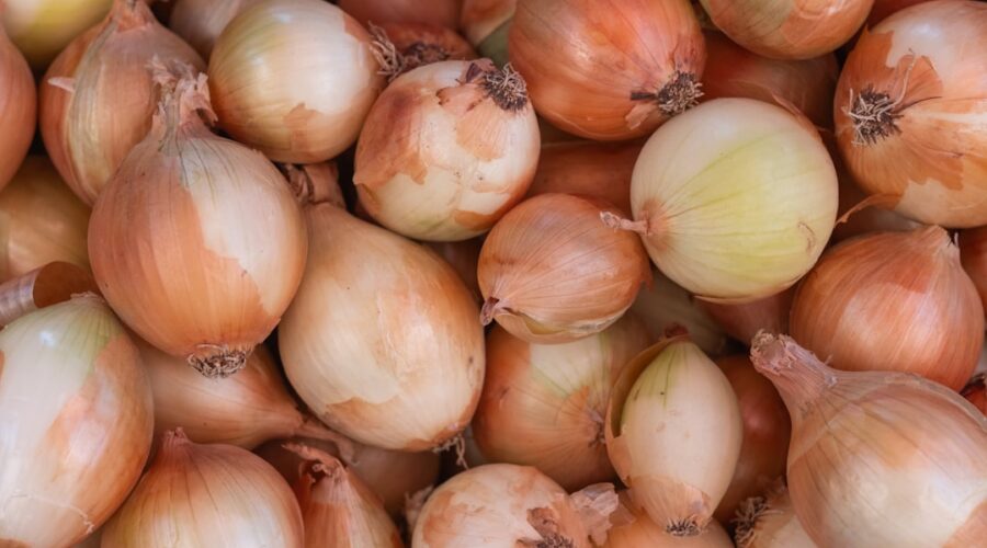 découvrez des recettes savoureuses à base d'oignons, idéales pour rehausser vos plats ! que ce soit en soupe, en tarte ou en accompagnement, explorez notre sélection d'idées délicieuses et faciles à réaliser.