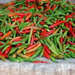 découvrez le paprika, une épice colorée et savoureuse, parfaite pour rehausser vos plats. apprenez tout sur ses variétés, ses bienfaits pour la santé et des astuces pour l'incorporer dans vos recettes. transformez vos créations culinaires avec cette épice polyvalente !