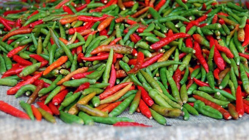 découvrez le paprika, une épice colorée et savoureuse, parfaite pour rehausser vos plats. apprenez tout sur ses variétés, ses bienfaits pour la santé et des astuces pour l'incorporer dans vos recettes. transformez vos créations culinaires avec cette épice polyvalente !