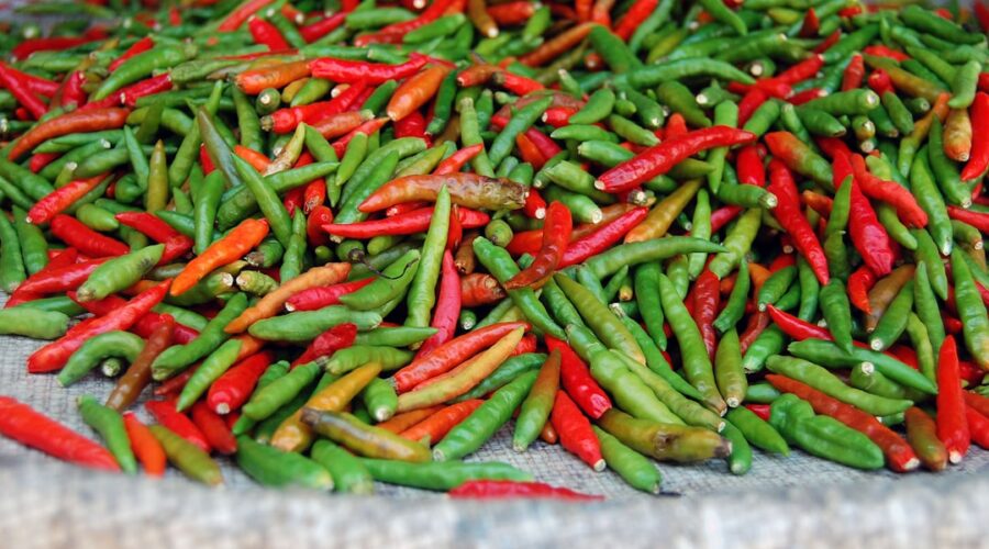 découvrez le paprika, une épice colorée et savoureuse, parfaite pour rehausser vos plats. apprenez tout sur ses variétés, ses bienfaits pour la santé et des astuces pour l'incorporer dans vos recettes. transformez vos créations culinaires avec cette épice polyvalente !