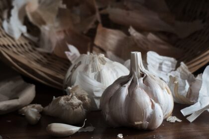découvrez les bienfaits de l'ail : un aliment aux multiples vertus pour la santé, ses propriétés antibactériennes et antioxydantes, ainsi que des recettes délicieuses pour l'intégrer facilement dans votre cuisine.