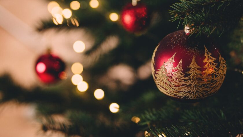 découvrez la magie de noël avec des idées de décorations festives, des recettes délicieuses et des traditions chaleureuses pour célébrer cette période merveilleuse de l'année. plongez dans l'esprit de noël et créez des souvenirs inoubliables avec vos proches.