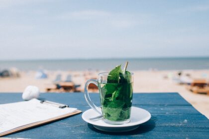 découvrez le monde fascinant de la menthe, une plante aromatique aux multiples variétés. apprenez tout sur ses bienfaits, son utilisation en cuisine et ses propriétés médicinales. laissez-vous séduire par ses arômes rafraîchissants et ajoutez une touche de menthe à vos recettes!