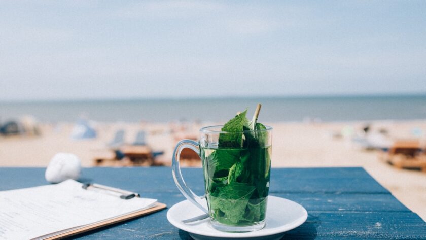 découvrez le monde fascinant de la menthe, une plante aromatique aux multiples variétés. apprenez tout sur ses bienfaits, son utilisation en cuisine et ses propriétés médicinales. laissez-vous séduire par ses arômes rafraîchissants et ajoutez une touche de menthe à vos recettes!