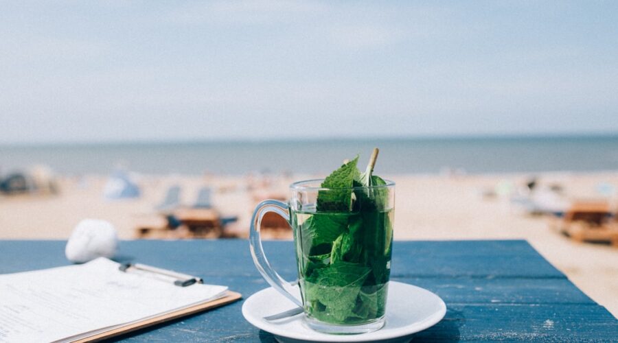 découvrez le monde fascinant de la menthe, une plante aromatique aux multiples variétés. apprenez tout sur ses bienfaits, son utilisation en cuisine et ses propriétés médicinales. laissez-vous séduire par ses arômes rafraîchissants et ajoutez une touche de menthe à vos recettes!