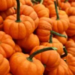découvrez notre délicieuse recette de soupe à la courge, parfaite pour réchauffer vos repas d'automne. avec des ingrédients frais et des épices savoureuses, cette soupe crémeuse et réconfortante ravira vos papilles et illuminera vos tables.