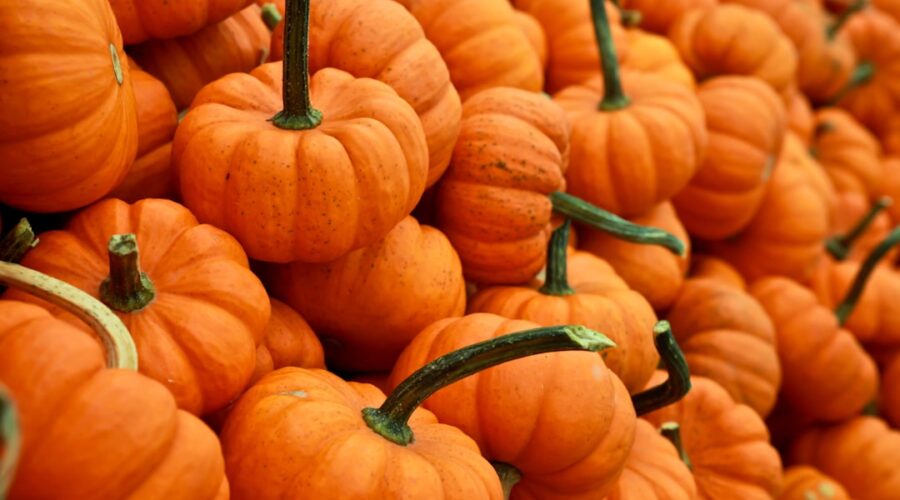 découvrez notre délicieuse recette de soupe à la courge, parfaite pour réchauffer vos repas d'automne. avec des ingrédients frais et des épices savoureuses, cette soupe crémeuse et réconfortante ravira vos papilles et illuminera vos tables.