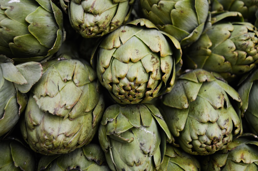 découvrez tout sur les artichauts, de leur culture à leurs bienfaits nutritionnels. apprenez à les cuisiner et à les intégrer dans vos plats pour une alimentation saine et savoureuse.