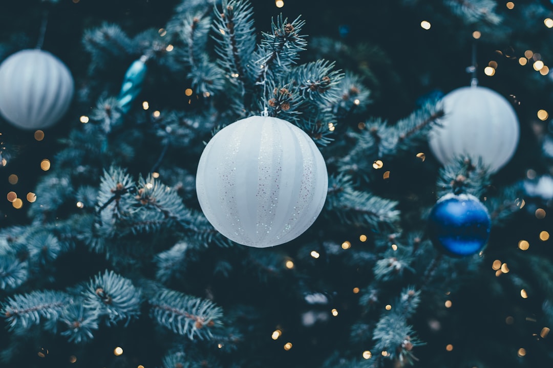 découvrez la magie de noël avec nos conseils pour célébrer cette période festive ! idées de décoration, recettes savoureuses et astuces de cadeaux pour faire plaisir à vos proches. plongez dans l'esprit de noël et créez des souvenirs inoubliables.