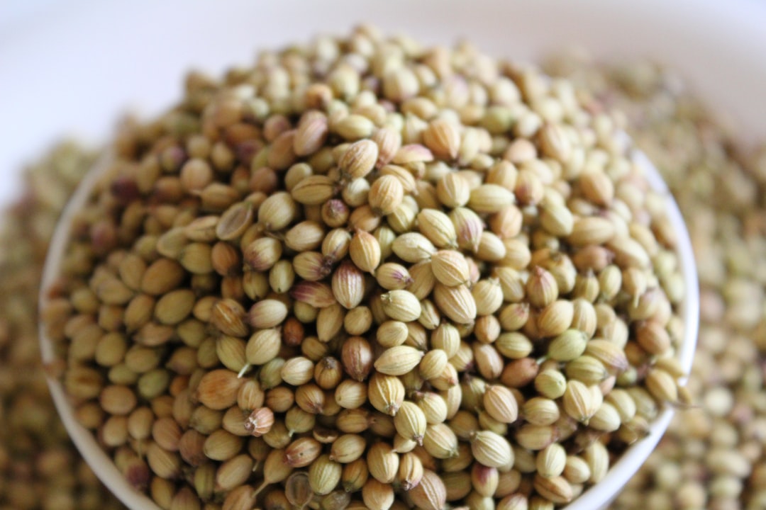découvrez tout sur la coriandre, une herbe aromatique aux multiples bienfaits. explorez ses utilisations en cuisine, ses propriétés nutritives et comment elle peut rehausser vos plats avec sa saveur unique. apprenez également à cultiver cette plante dans votre jardin pour profiter de son goût frais tout au long de l'année.