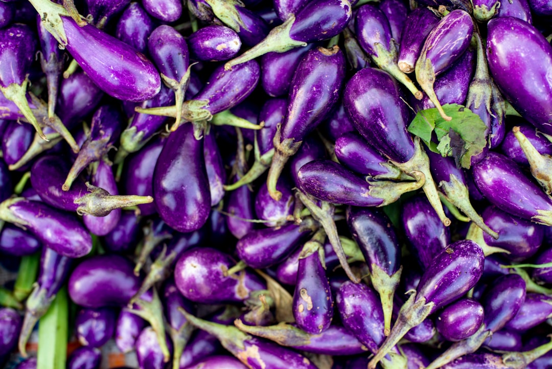 découvrez tout sur l'aubergine, ce légume plein de saveurs, ses recettes délicieuses, ses bienfaits pour la santé et des astuces pour la cuisiner avec créativité.