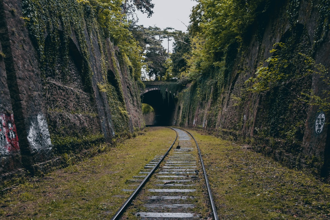 découvrez les merveilles du monde à travers une exploration unique, révélant des paysages fascinants, des cultures riches et des expériences inoubliables. préparez-vous à partir à l'aventure et à élargir vos horizons.