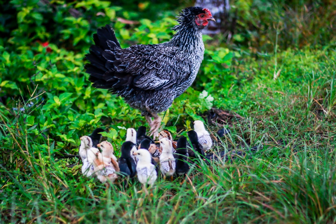 découvrez une recette familiale intemporelle qui ravira vos proches. préparez des plats savoureux, inspirés des traditions culinaires de votre enfance, et créez des souvenirs inoubliables autour de la table.