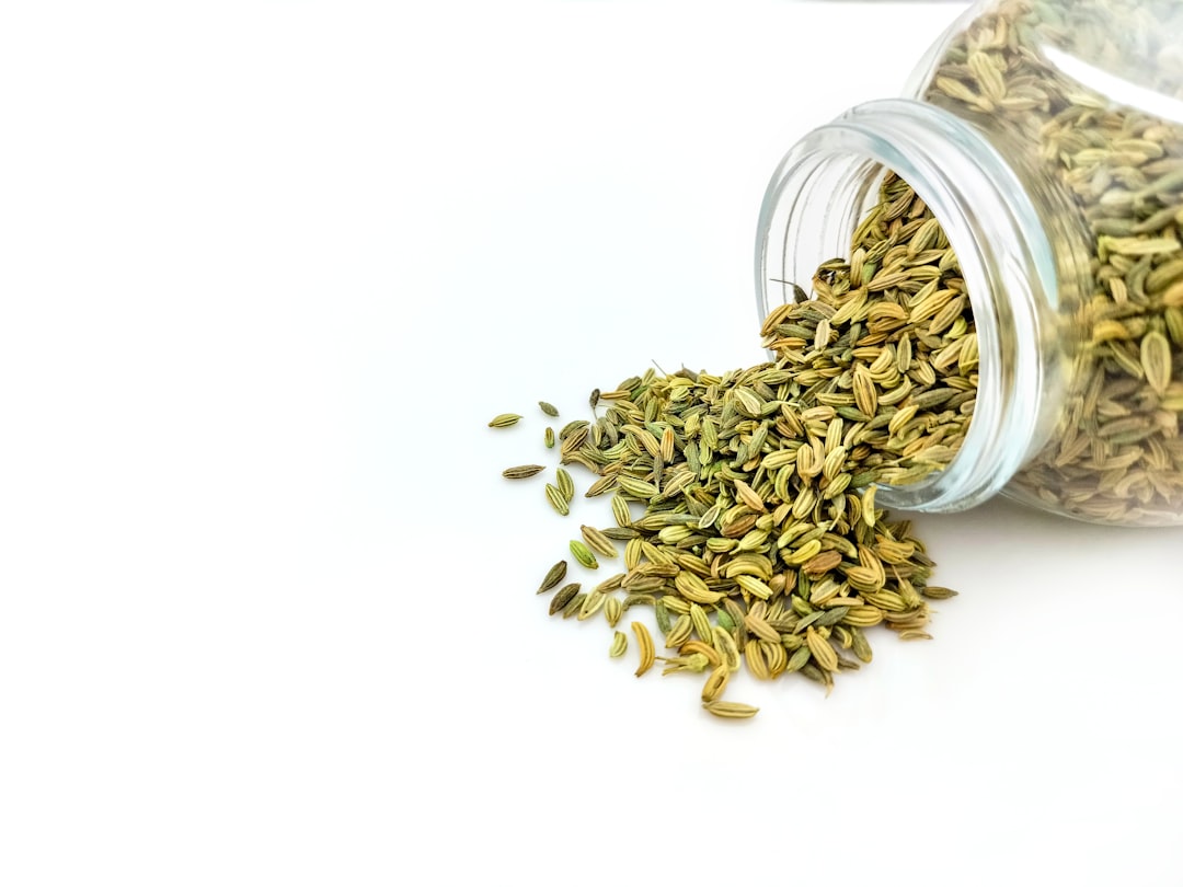 découvrez les bienfaits du fenouil, une plante aromatique aux multiples vertus. apprenez à l'utiliser en cuisine et ses propriétés santé pour agrémenter vos plats tout en prenant soin de votre bien-être.
