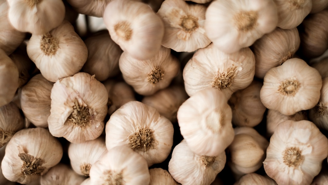 découvrez les multiples bienfaits de l'ail ! cette plante aromatique, riche en nutriments, est parfaite pour rehausser vos plats tout en offrant des propriétés bénéfiques pour la santé. apprenez comment intégrer l'ail dans votre cuisine et profitez de ses vertus médicinales.