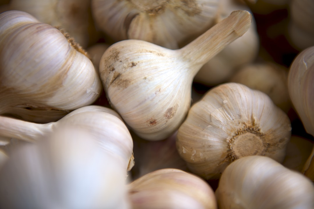 découvrez les scapes d'ail, cette délicatesse printanière aux saveurs subtiles. éveil des papilles avec des recettes créatives, conseils de préparation et bienfaits pour la santé.