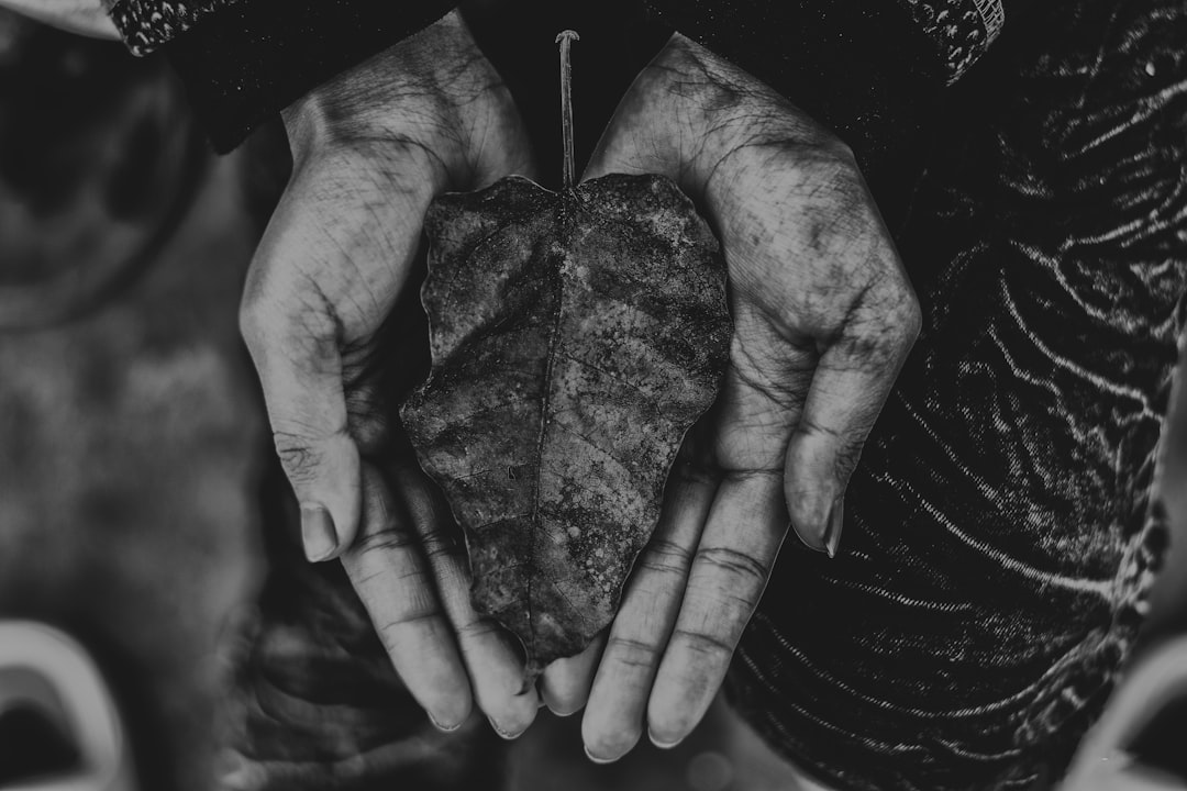 découvrez la puissance de la générosité et son impact sur notre société. apprenez comment donner et partager peut enrichir non seulement la vie des autres, mais aussi la vôtre. plongez dans des histoires inspirantes et des conseils pratiques sur la manière d'incarner cette valeur essentielle.