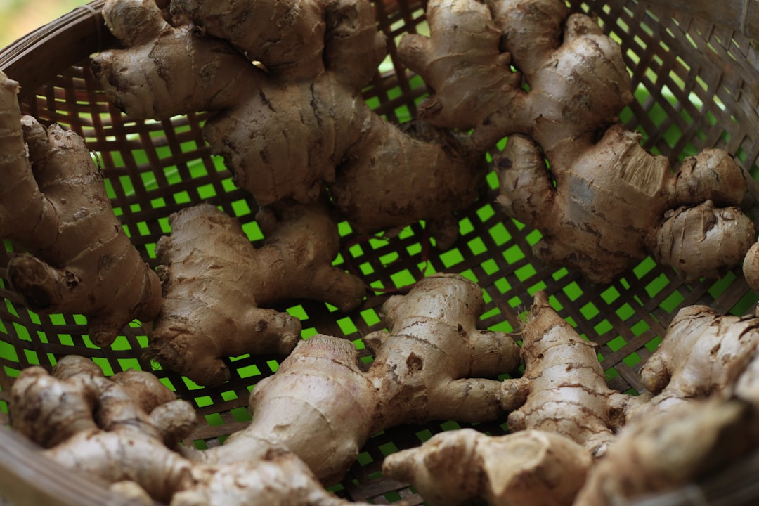 découvrez les bienfaits du gingembre, une racine aux propriétés anti-inflammatoires et antioxydantes. explorez ses utilisations en cuisine, ses vertus pour la santé et ses recettes délicieuses qui rehausseront vos plats.