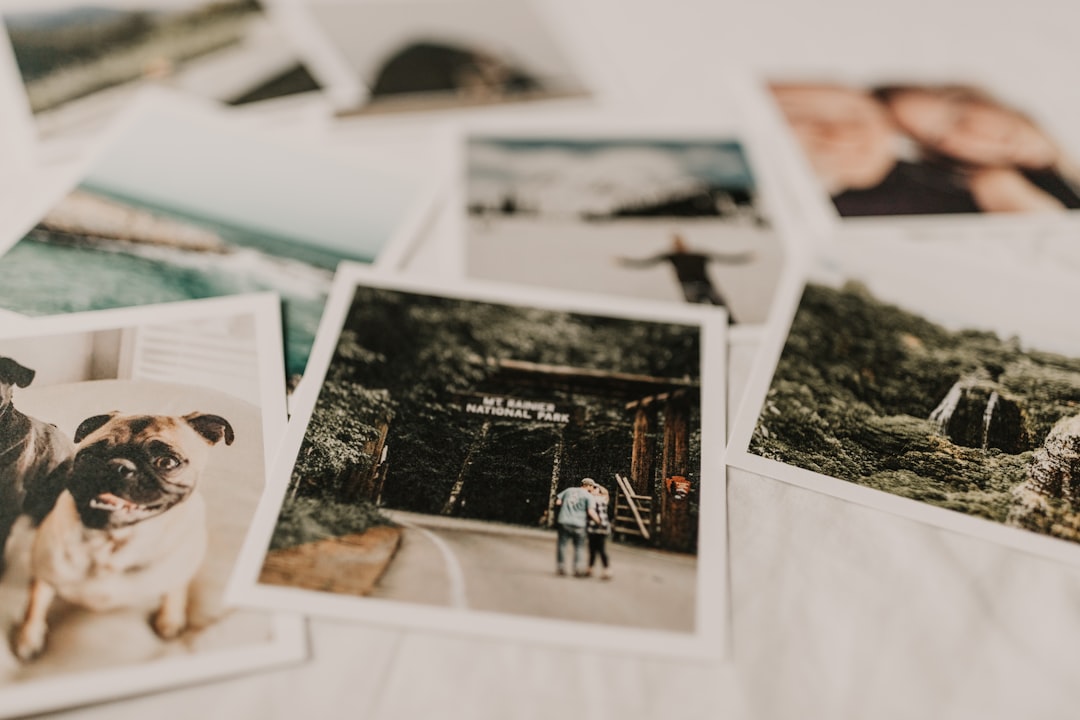 découvrez l'importance de la mémoire dans notre vie quotidienne et comment elle influence nos pensées, décisions et souvenirs. explorez des astuces pour améliorer votre mémoire et des techniques pour mieux retenir l'information.
