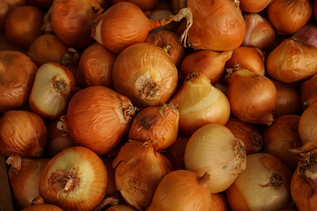 découvrez une variété de recettes à base d'oignons, allant des plats savoureux aux sauces délicieuses. apportez une touche d'originalité à votre cuisine avec nos idées créatives qui sublimeront vos repas !