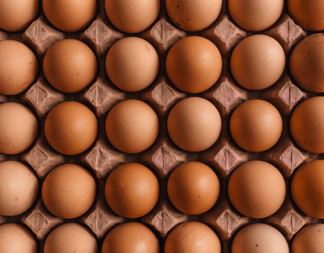 découvrez tout l'univers de la volaille : conseils d'élevage, recettes savoureuses, informations nutritionnelles et astuces pour profiter au mieux de ce secteur riche et varié. plongez dans le monde avicole et apprenez à bien choisir, cuisiner et apprécier la volaille.