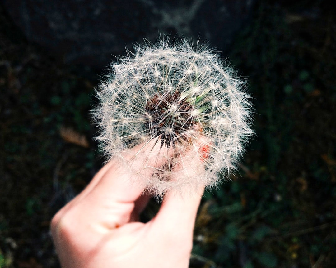découvrez tout ce qu'il faut savoir sur les allergies : symptômes, causes, traitements et conseils pour mieux vivre avec. informez-vous et apprenez à gérer vos allergies au quotidien.
