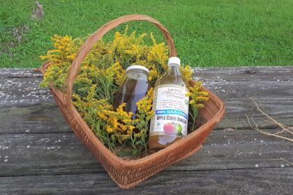 découvrez les multiples bienfaits du vinaigre de cidre de pomme, un élixir naturel apprécié pour ses propriétés santé, ses vertus digestives et son utilisation en cuisine. apprenez comment intégrer cet ingrédient polyvalent à votre quotidien pour booster votre bien-être.