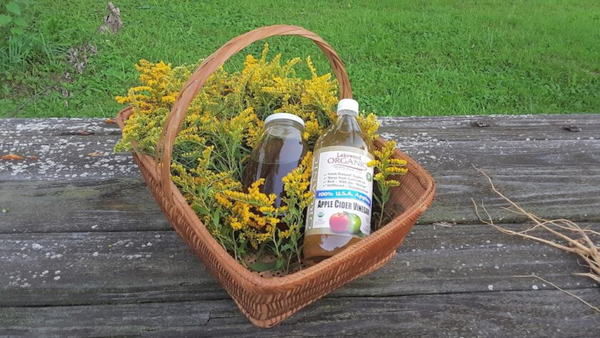 découvrez les multiples bienfaits du vinaigre de cidre de pomme, un élixir naturel apprécié pour ses propriétés santé, ses vertus digestives et son utilisation en cuisine. apprenez comment intégrer cet ingrédient polyvalent à votre quotidien pour booster votre bien-être.
