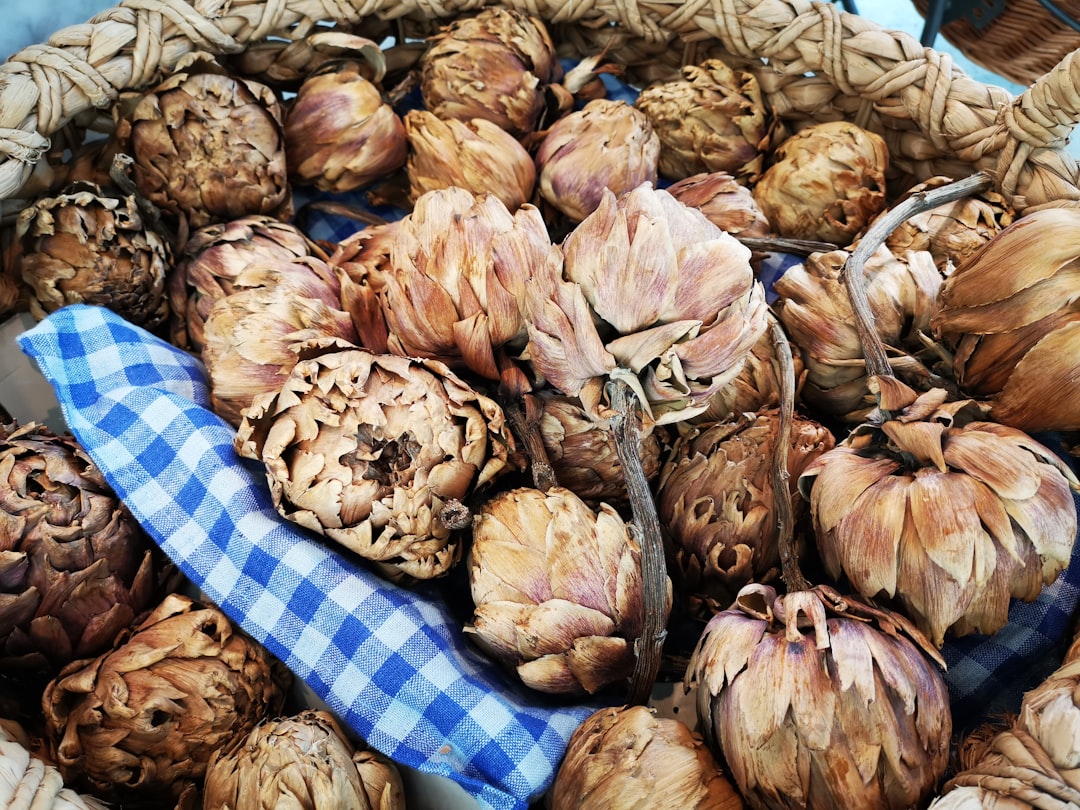 découvrez tout sur les artichauts : recettes savoureuses, bienfaits nutritionnels et conseils pour les cuisiner. plongez dans l'univers de ce légume délicat et savoureux.