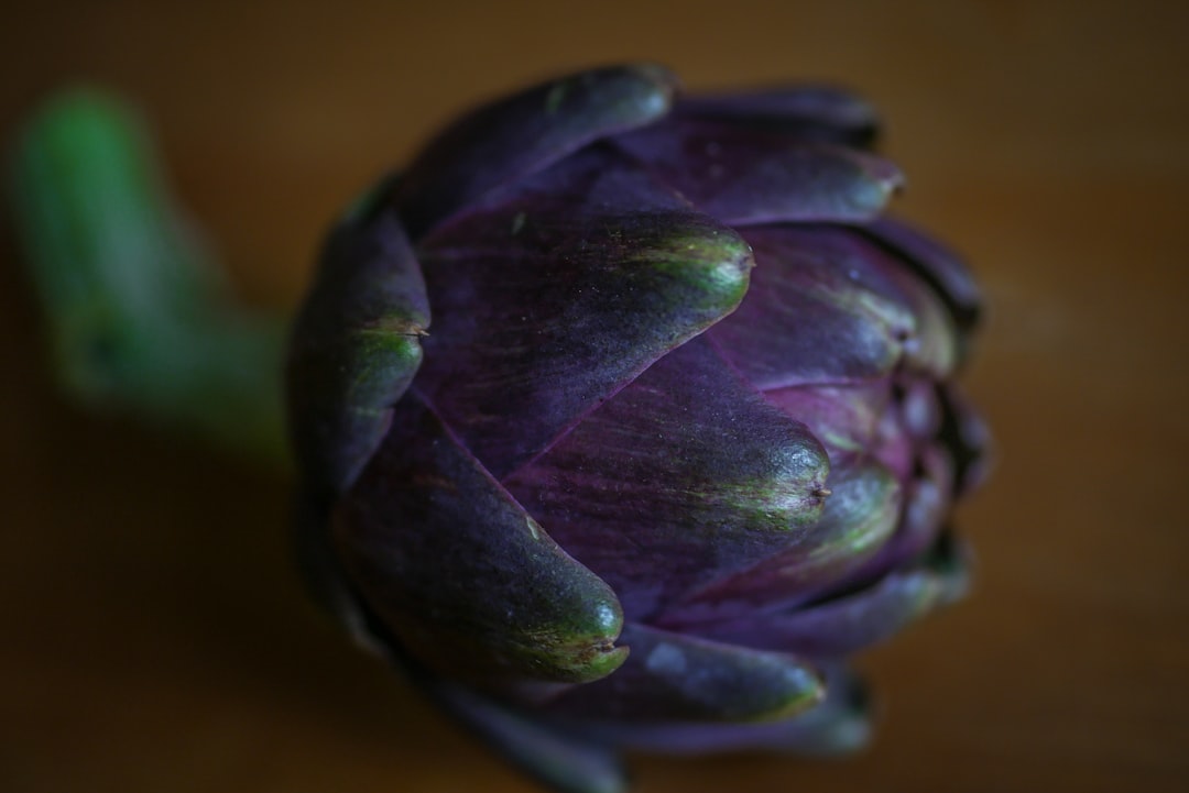 découvrez l'univers fascinant des artichauts : bienfaits pour la santé, recettes savoureuses et astuces de préparation. apprenez à apprécier ce légume aux multiples facettes.