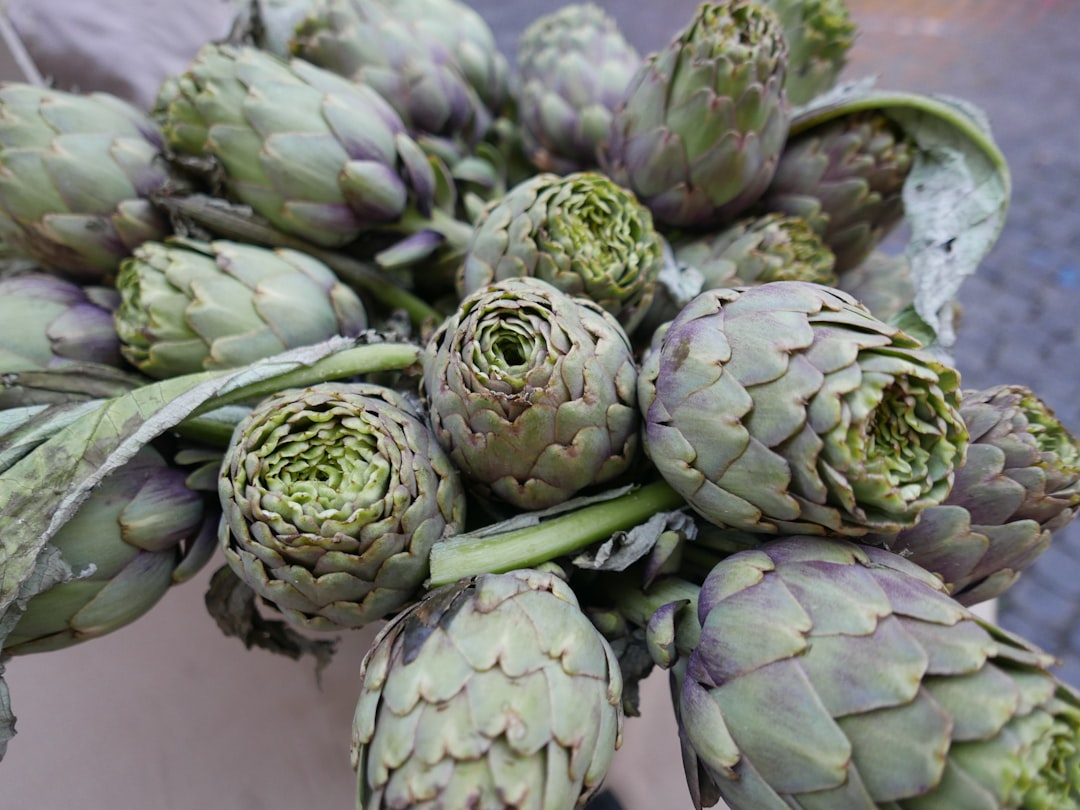 découvrez notre guide complet sur l'artichaut : bienfaits nutritionnels, recettes savoureuses et astuces de préparation. apprenez à apprécier ce légume unique et savoureux dans votre cuisine.
