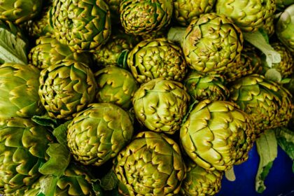 découvrez l'univers fascinant des artichauts, un légume savoureux et nutritif. explorez ses bienfaits pour la santé, ses différentes variétés, ainsi que des recettes délicieuses pour l'intégrer à votre cuisine. apprenez à le préparer et à le déguster pour apprécier pleinement son goût unique.