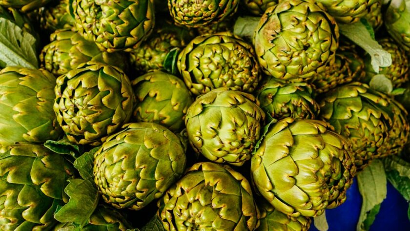 découvrez l'univers fascinant des artichauts, un légume savoureux et nutritif. explorez ses bienfaits pour la santé, ses différentes variétés, ainsi que des recettes délicieuses pour l'intégrer à votre cuisine. apprenez à le préparer et à le déguster pour apprécier pleinement son goût unique.