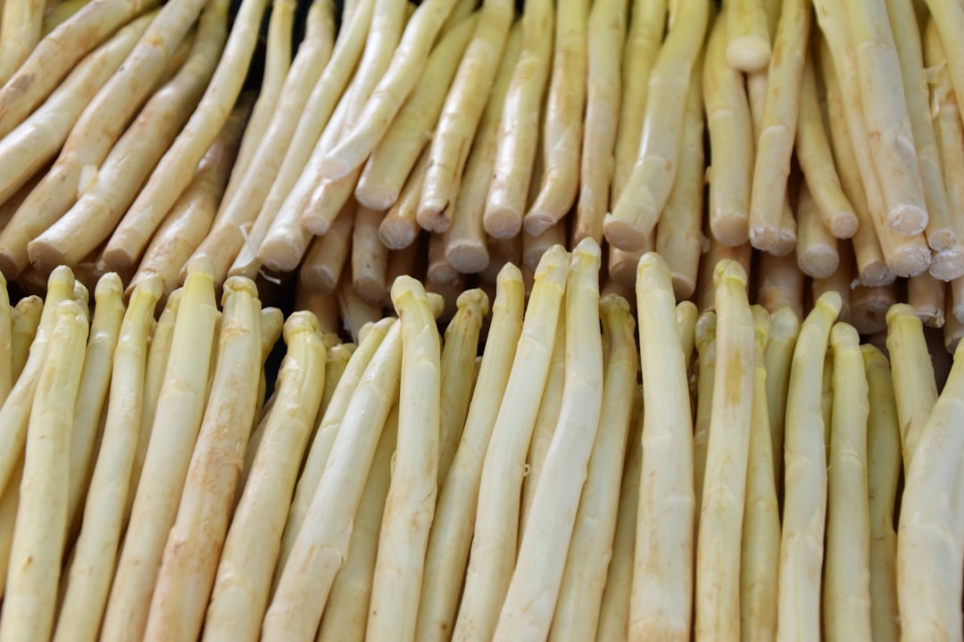 découvrez les bienfaits incontournables de l'asperge, ce légume gourmet plein de saveurs et de nutriments. idéal pour vos recettes saines et délicieuses, apprenez comment l'intégrer facilement dans votre alimentation.