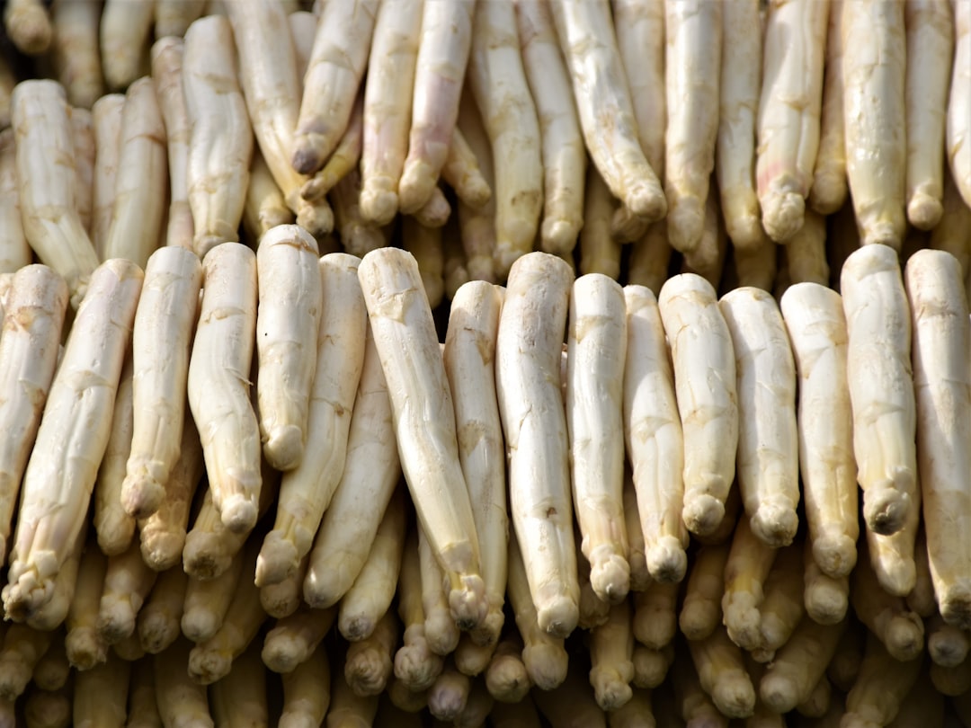 découvrez les bienfaits de l'asperge, ce légume délicat et savoureux. apprenez à le préparer, à le cuisiner et à l'intégrer dans vos plats pour une alimentation saine et équilibrée.