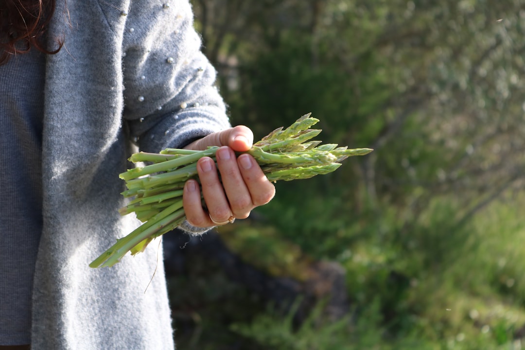 découvrez l'asperge, un légume raffiné aux multiples bienfaits. apprenez à l'intégrer dans vos plats pour un goût délicieux et une nutrition optimale.