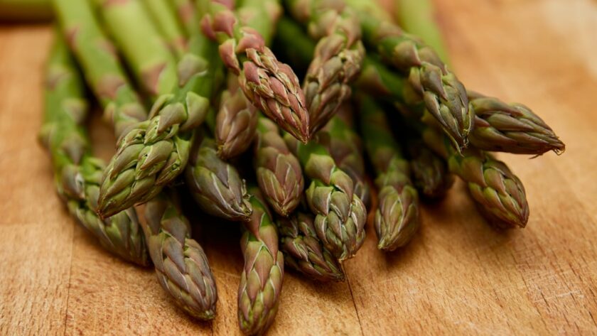 découvrez les bienfaits de l'asperge, un légume savoureux et nutritif. apprenez comment le cuisiner et l'incorporer dans vos plats pour profiter de ses propriétés antioxydantes et de sa richesse en vitamines.
