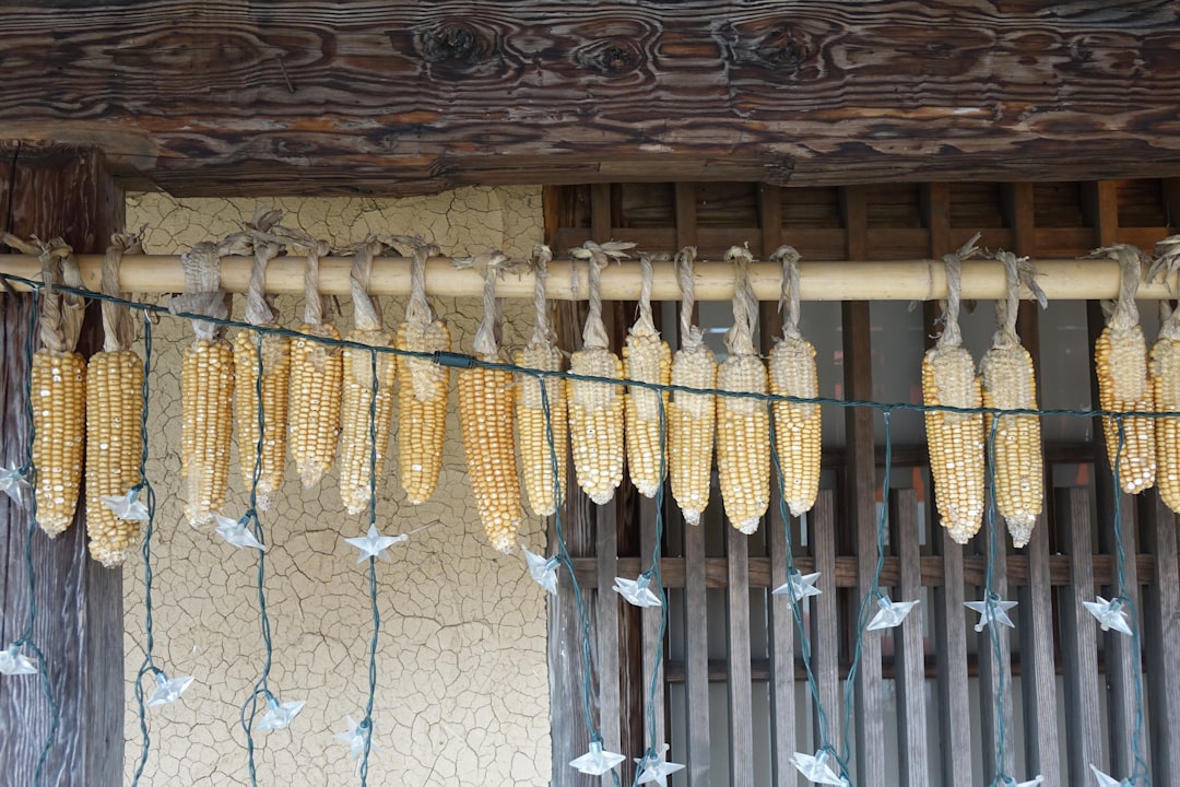 découvrez l'authenticité du ramen japonais avec nos recettes traditionnelles. savourez des bouillons riches et savoureux, accompagnés de nouilles fraîchement préparées et d'ingrédients de qualité pour une expérience culinaire inégalée.