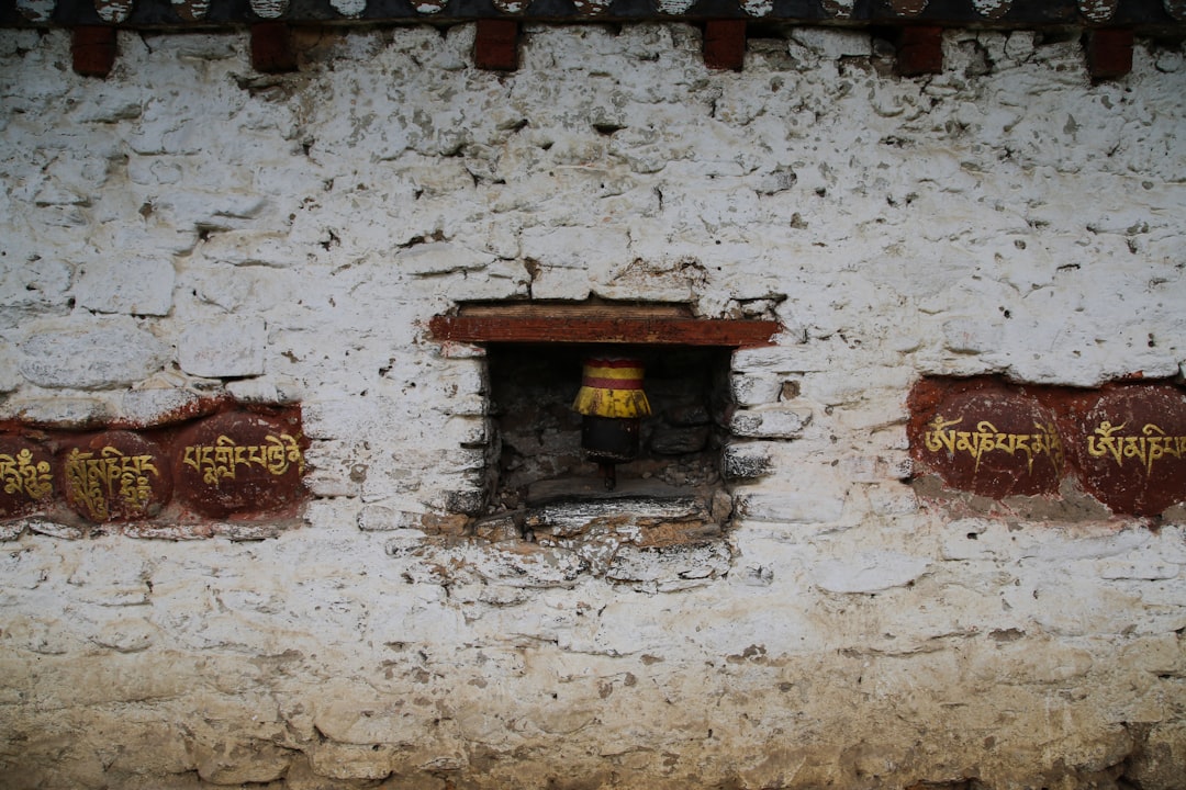 découvrez l'authenticité des ramen traditionnels japonais, préparés avec passion et savoir-faire. savourez nos délicieux bouillons, nouilles fraîches et garnitures savoureuses, pour une expérience culinaire unique qui ravira vos papilles.