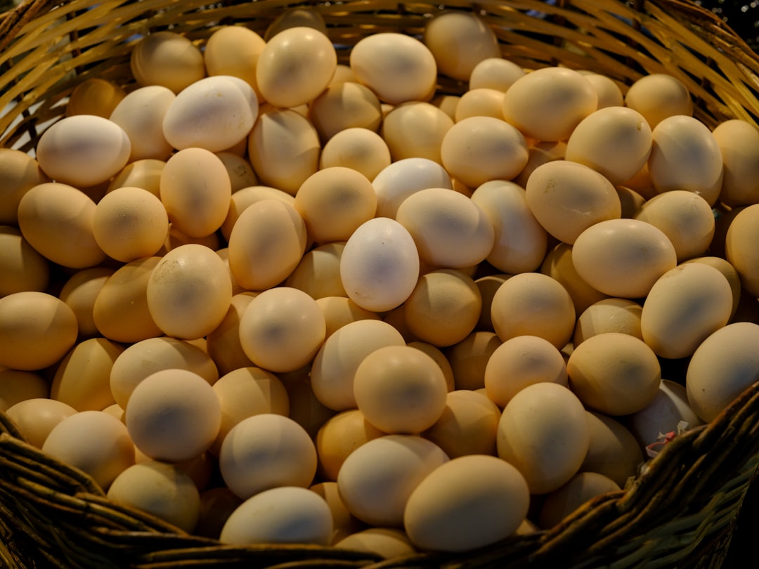 découvrez la délicieuse recette des baked beans, un plat savoureux à base de haricots cuits lentement dans une sauce riche et aromatique. parfait pour accompagner vos repas ou à déguster en plat principal, cette recette traditionnelle va ravir vos papilles avec ses textures et ses saveurs. idéal pour les repas en famille ou entre amis !