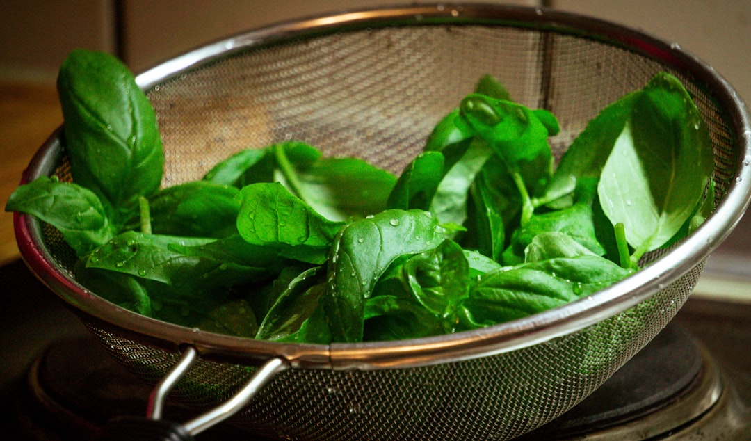 découvrez le basilic, une herbe aromatique incontournable en cuisine. apprenez ses bienfaits, ses différentes variétés et comment l'utiliser pour rehausser vos plats. laissez-vous guider par nos conseils et recettes pour profiter pleinement de cette herbe délicieuse et parfumée.