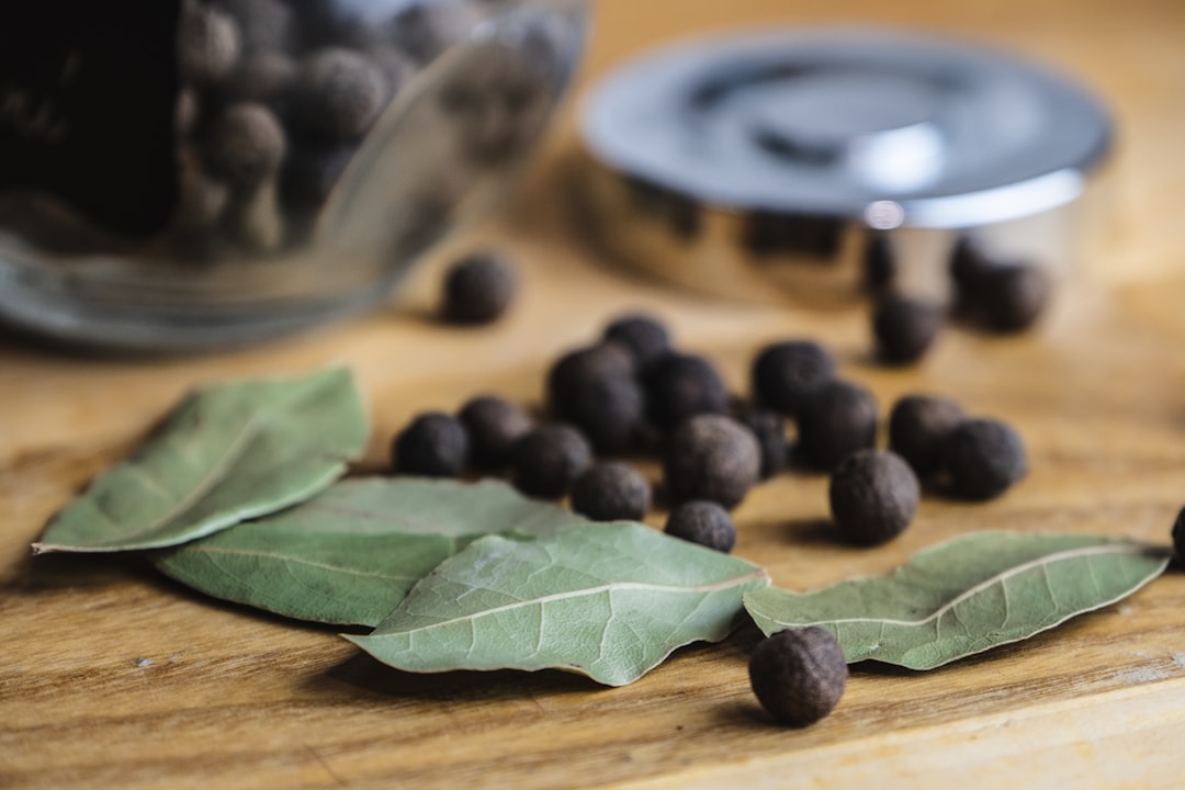 découvrez tout sur les feuilles de laurier : leurs bienfaits, utilisations en cuisine et propriétés médicinales. apprenez à les choisir et à les conserver pour rehausser vos plats avec une touche aromatique unique.